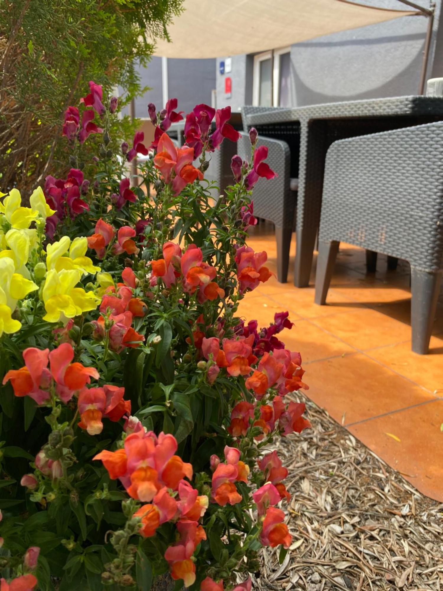 Contact Hotel Le Sud Montpellier Aeroport Parc Expo Arena 莫吉奥 外观 照片
